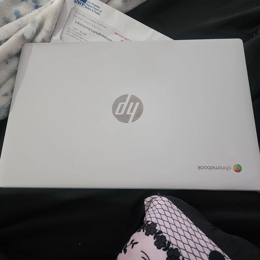 HP Chromebook - Silver